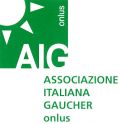 logo-aigbanner.jpg